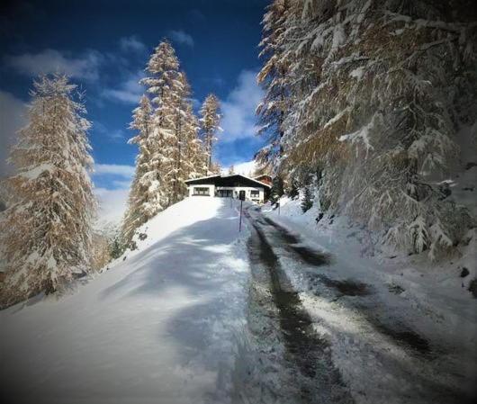 Apartment Gletscherbergblick Obergurgl Zewnętrze zdjęcie