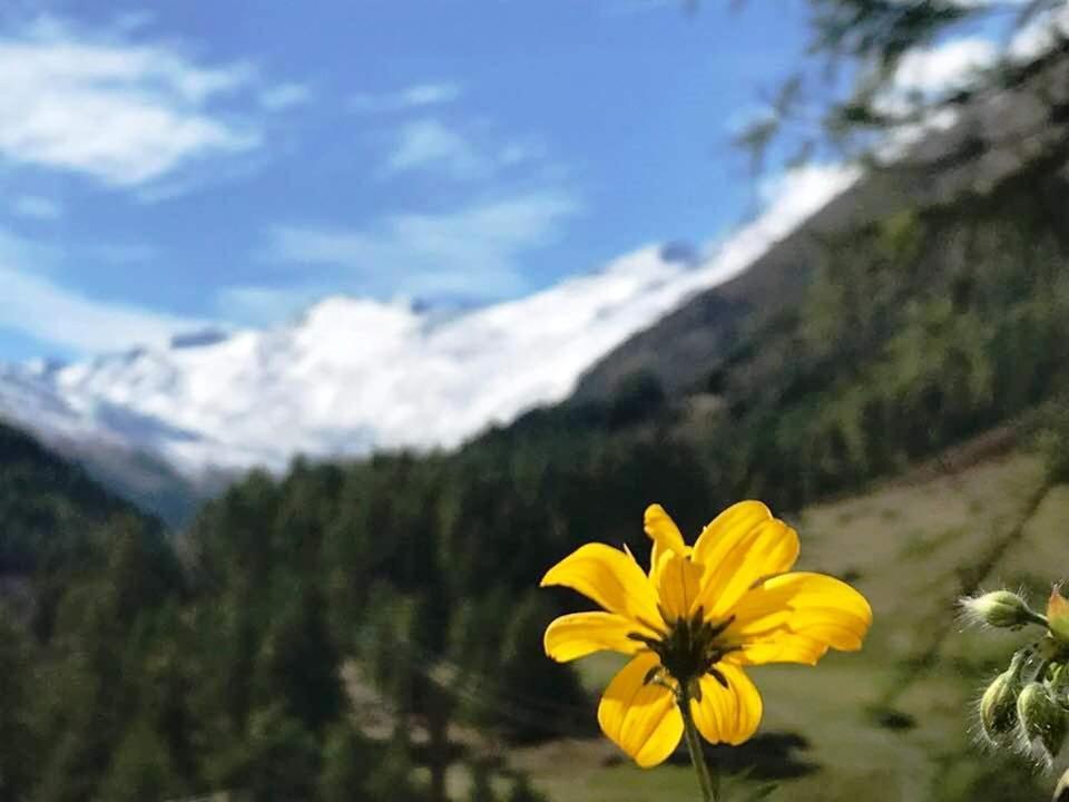 Apartment Gletscherbergblick Obergurgl Zewnętrze zdjęcie