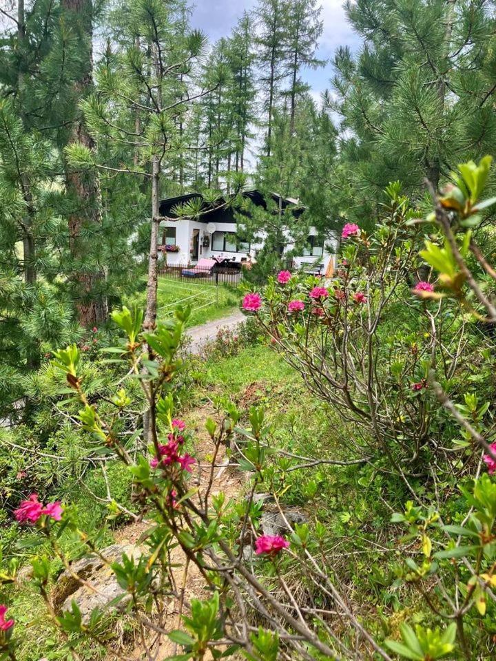 Apartment Gletscherbergblick Obergurgl Zewnętrze zdjęcie